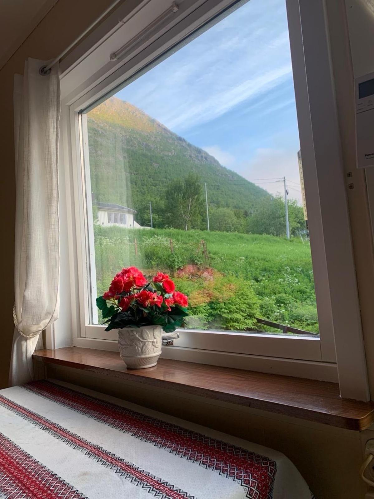House Appartement Gryllefjord Buitenkant foto